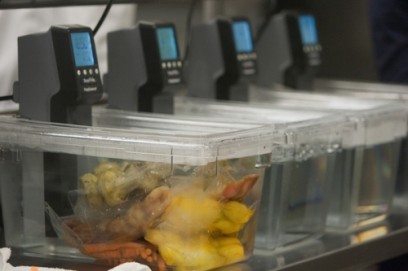 Sous vide equipment for low temperature cookery