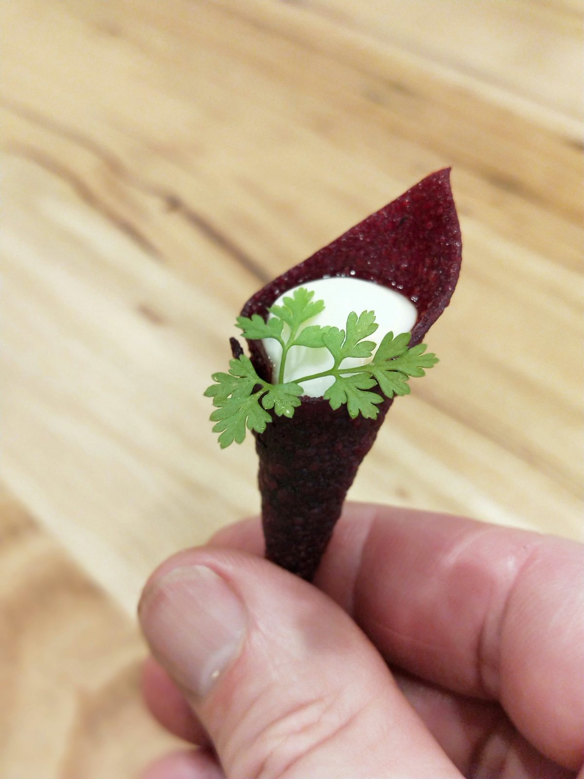 The best Sous Vide beetroot leather